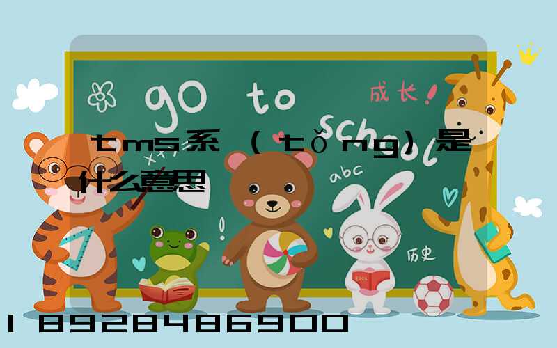 tms系統(tǒng)是什么意思
