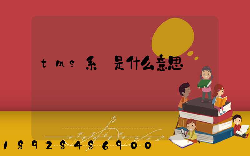 tms系統是什么意思