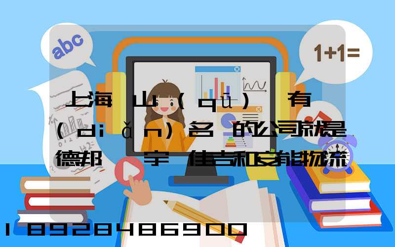 上海寶山區(qū)這有點(diǎn)名氣的公司就是德邦、華宇、佳吉和安能物流,誰能分析...