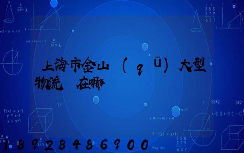 上海市金山區(qū)大型物流園在哪