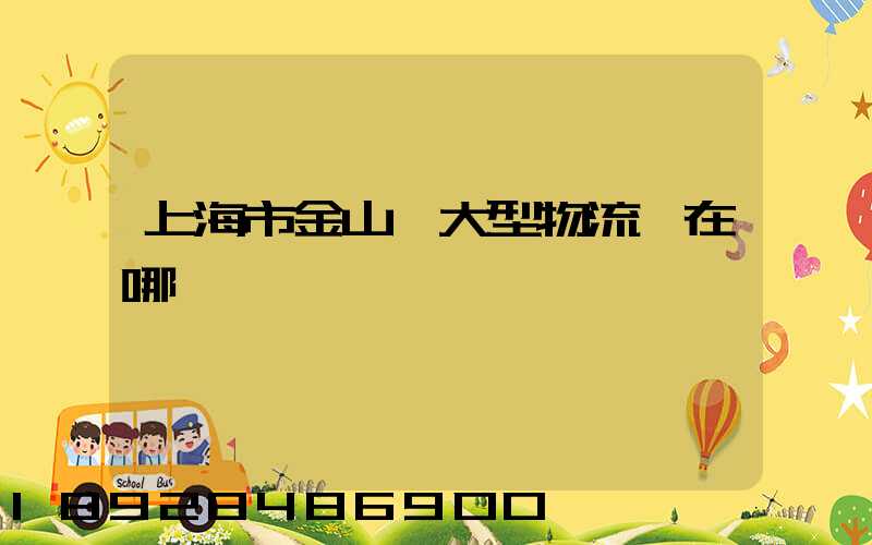 上海市金山區大型物流園在哪