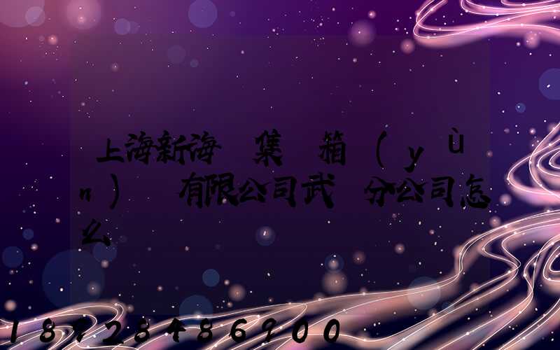 上海新海豐集裝箱運(yùn)輸有限公司武漢分公司怎么樣