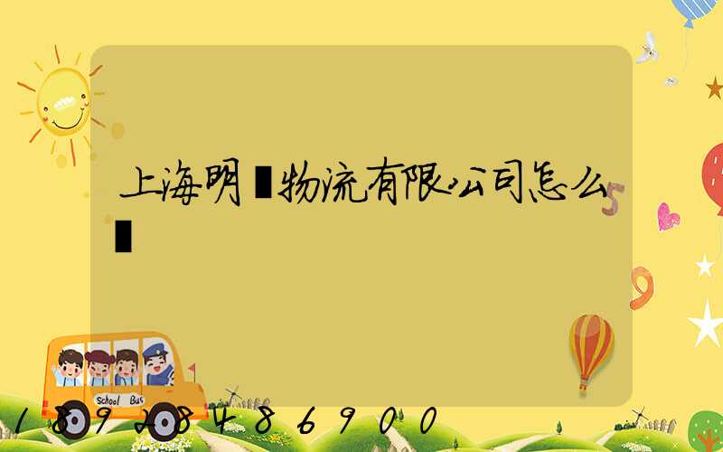 上海明眾物流有限公司怎么樣