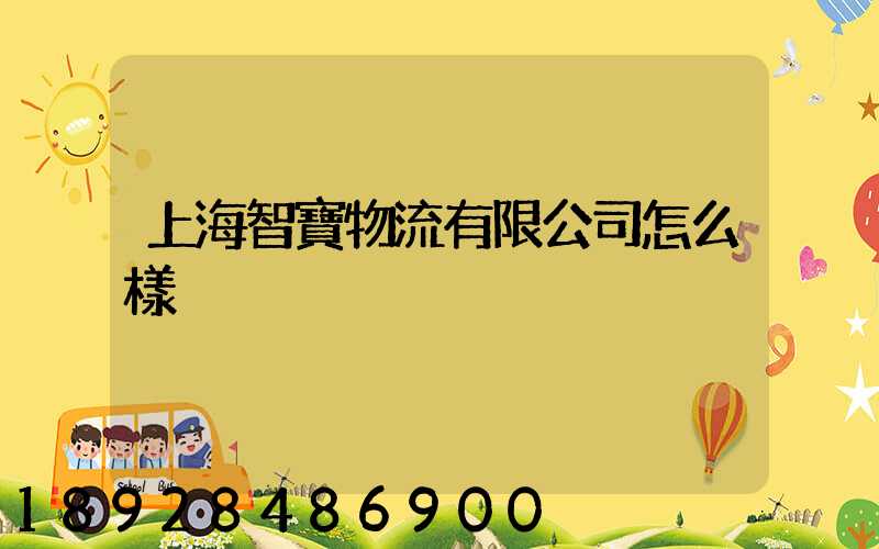 上海智寶物流有限公司怎么樣