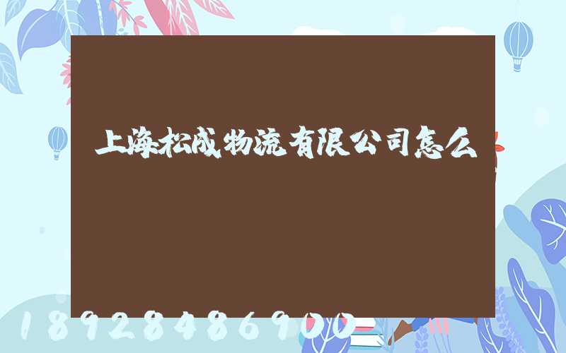 上海松成物流有限公司怎么樣