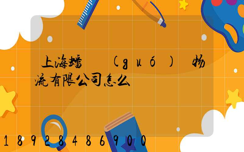 上海蟠龍國(guó)際物流有限公司怎么樣