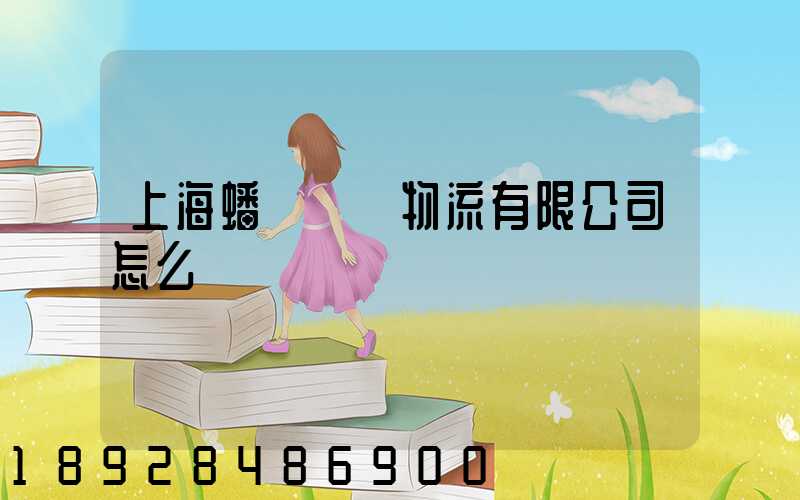 上海蟠龍國際物流有限公司怎么樣