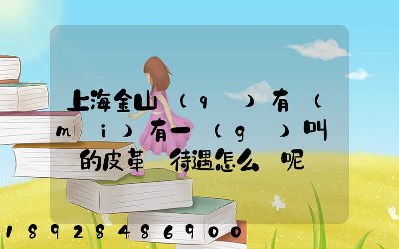 上海金山區(qū)有沒(méi)有一個(gè)叫華豐的皮革廠待遇怎么樣呢