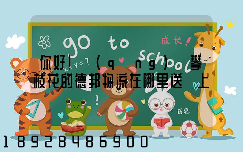 你好!請(qǐng)問攀枝花的德邦物流在哪里送貨上門嗎