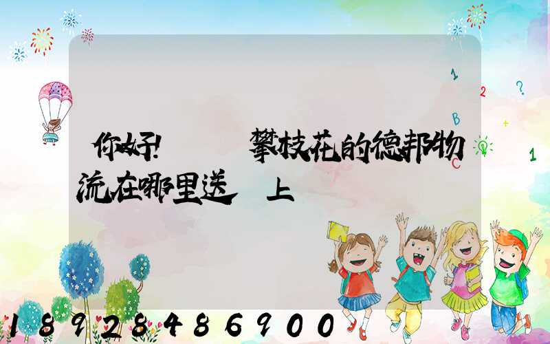 你好!請問攀枝花的德邦物流在哪里送貨上門嗎