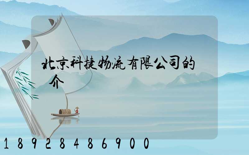 北京科捷物流有限公司的業務介紹