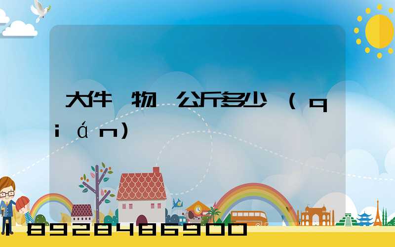 大件貨物一公斤多少錢(qián)