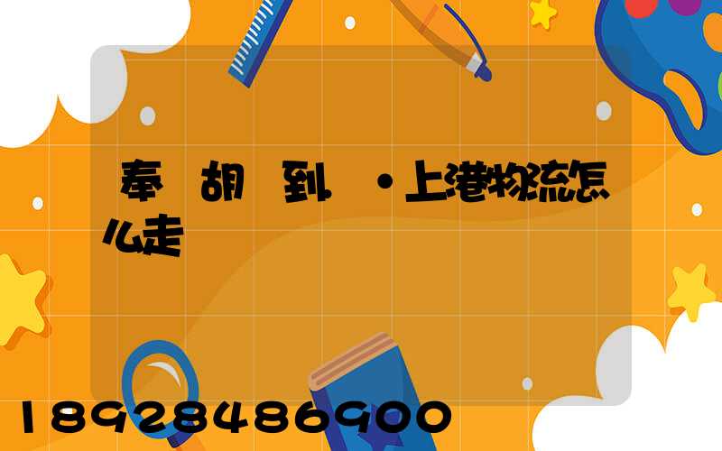 奉賢胡橋到.·上港物流怎么走