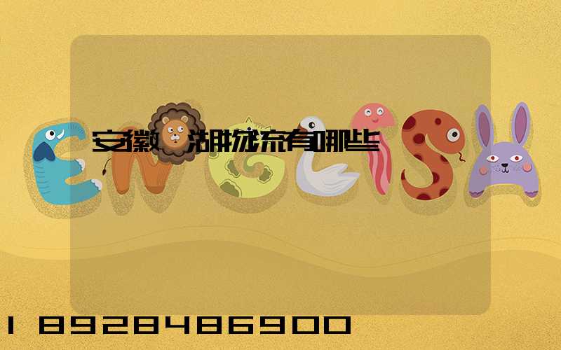 安徽蕪湖物流有哪些