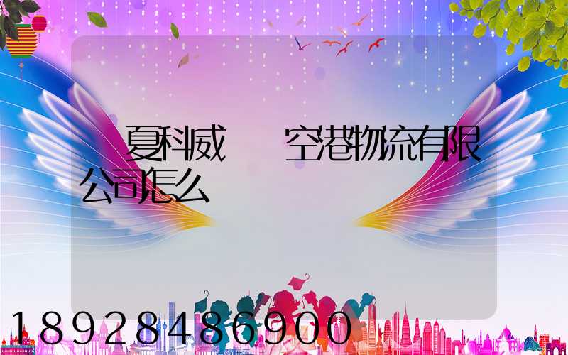 寧夏科威國際空港物流有限公司怎么樣