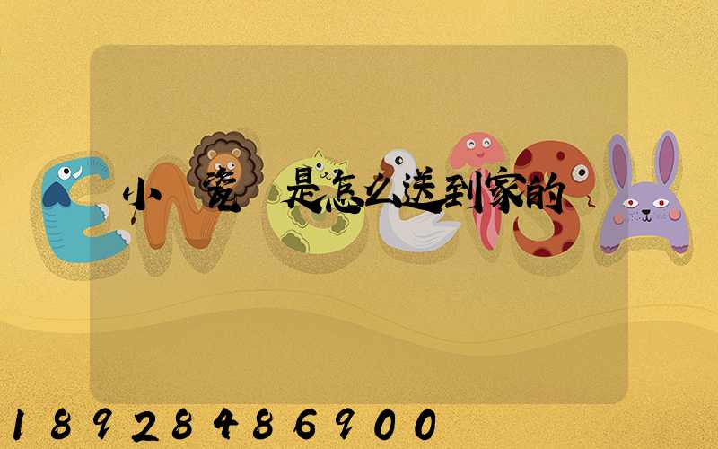 小區瓷磚是怎么送到家的