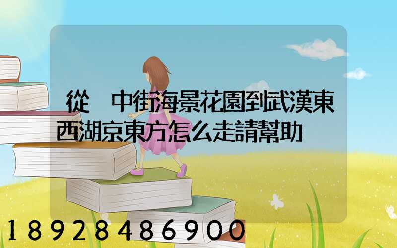 從吳中街海景花園到武漢東西湖京東方怎么走請幫助