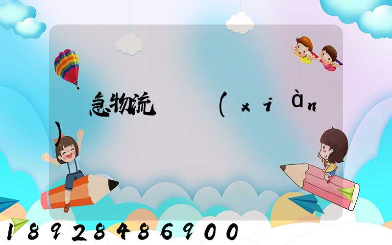 應急物流運輸現(xiàn)狀