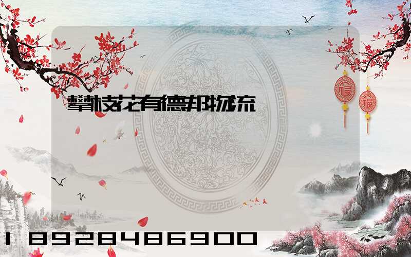 攀枝花有德邦物流嗎