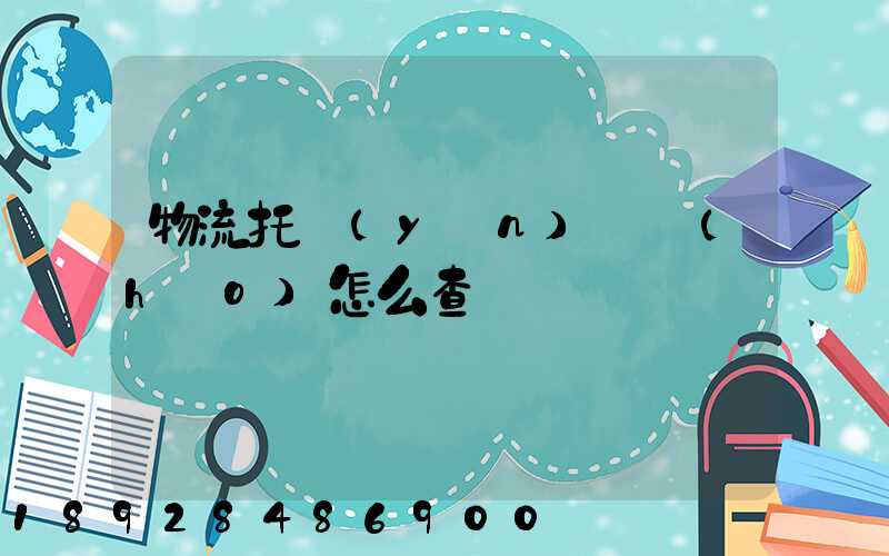 物流托運(yùn)單號(hào)怎么查詢