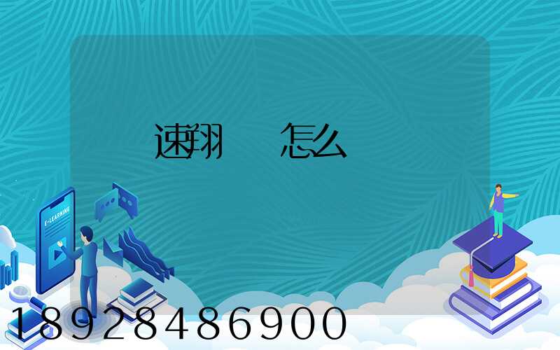 紹興速翔車隊怎么樣