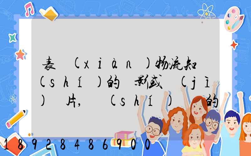 表現(xiàn)物流知識(shí)的電影或紀(jì)錄片,時(shí)間長的