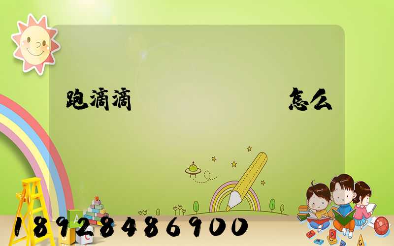 跑滴滴貨運(yùn)怎么樣