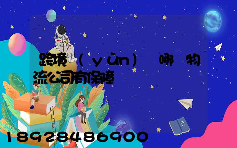 跨境運(yùn)輸哪個物流公司有保障