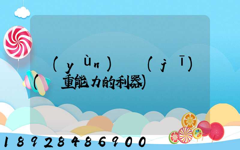 運(yùn)輸機(jī)(載重能力的利器)