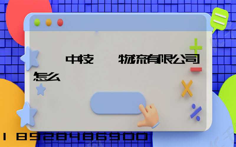 遼寧中技國際物流有限公司怎么樣