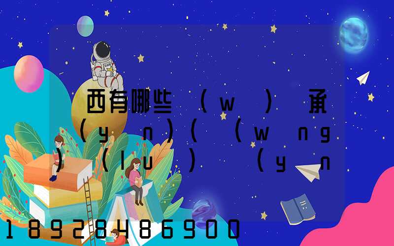 陜西有哪些無(wú)車承運(yùn)(網(wǎng)絡(luò)貨運(yùn))企業(yè)和平臺(tái)